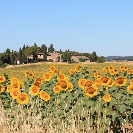 Il Poggio B&B Джинестра Экстерьер фото